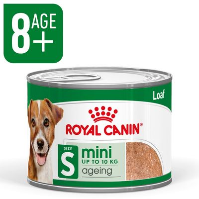 Royal Canin Mini Ageing in Loaf 6.8 oz