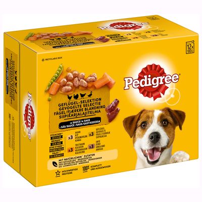 Pedigree Pouch in Gravy Multipack 12x3.5 oz