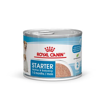 Royal Canin Starter Mousse Mother & Babydog 6.8 oz